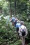 Amazonas06 - 164 * On a different hike, we are in search of a giant Kapok tree.